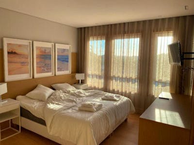 Sunny 1-bedroom apartment in Estarreja