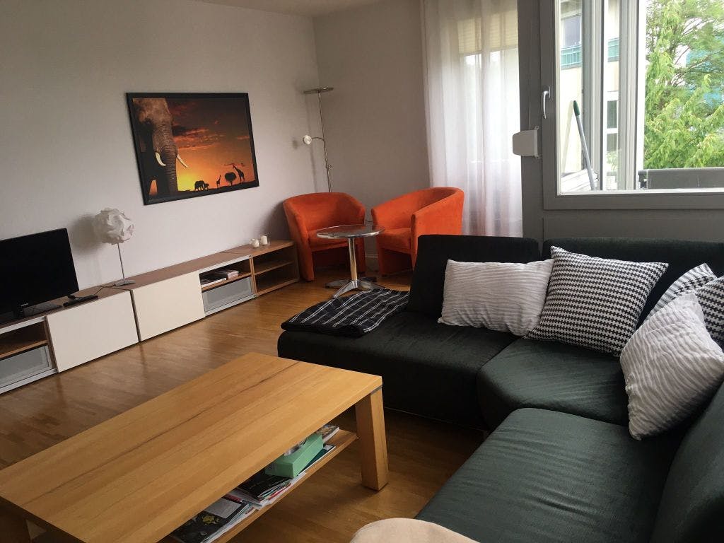 Bright and modernly furnished 3-room apartment in Blasewitz