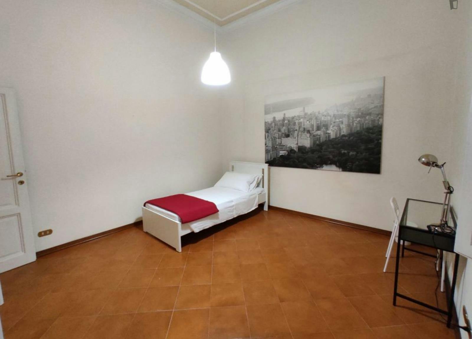Big single bedroom near Campo di Marte
