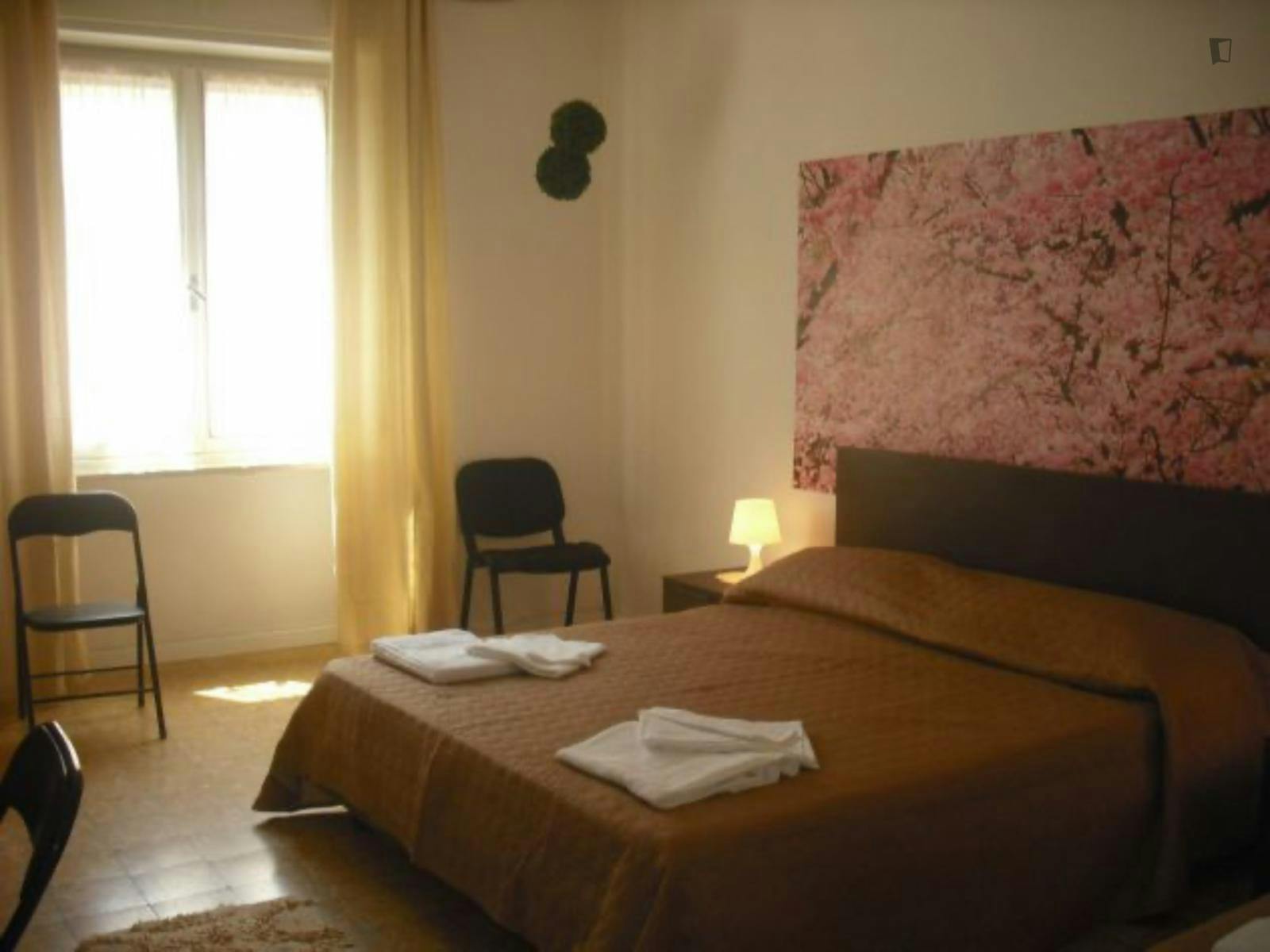 Bedroom In Pisa Centre Near All Universities And Pisa Centrale Train Station