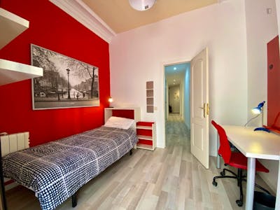 Spacious single bedroom near Tirso de Molina Plaza  - Gallery -  2