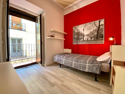 Spacious single bedroom near Tirso de Molina Plaza  - Gallery -  3