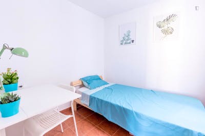 Excellent single bedroom near the Sant Antoni metro  - Gallery -  1