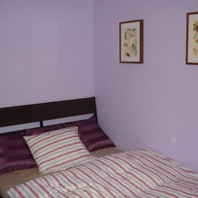 Snug double bedroom in a 4-bedroom apartment close to Podviní park