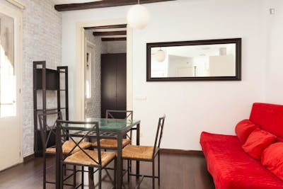 Spacious apartment in La Barceloneta  - Gallery -  3