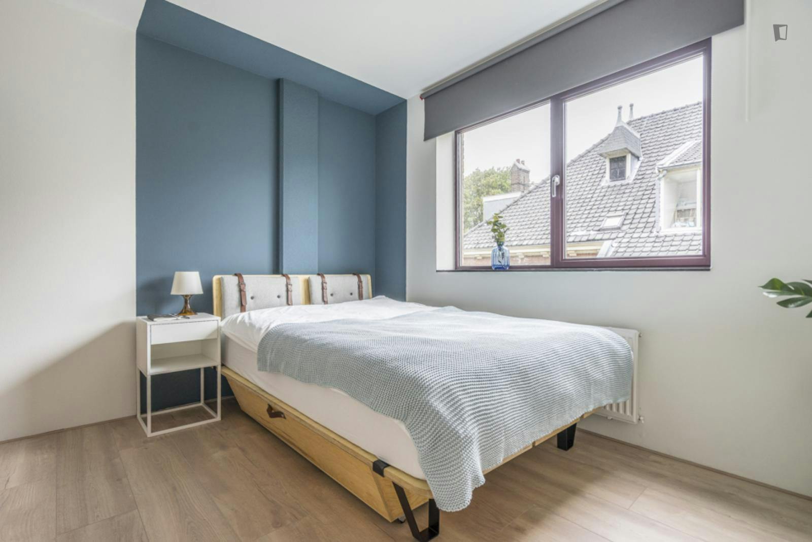 Spacious double bedroom in Den Haag 