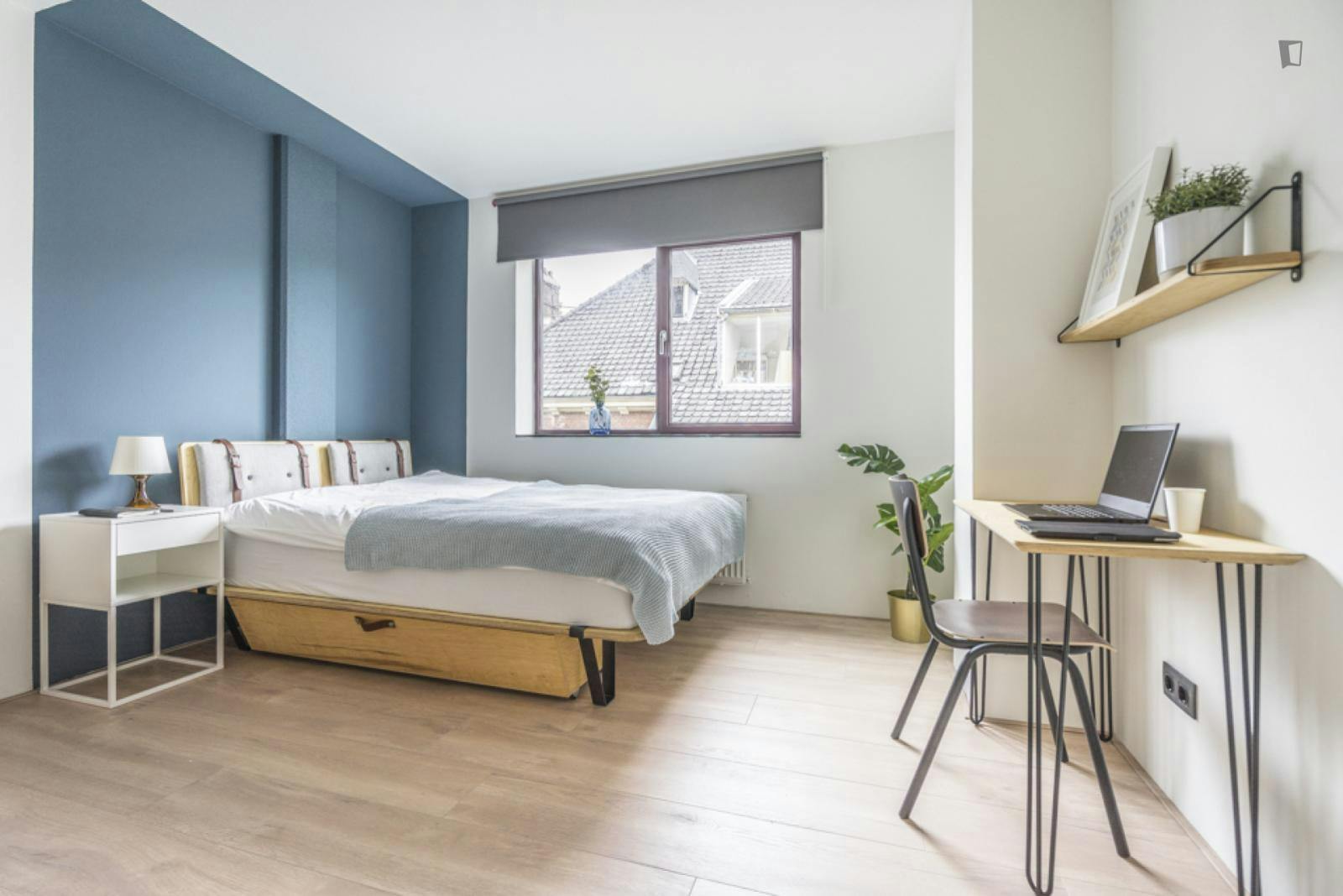 Spacious double bedroom in Den Haag 