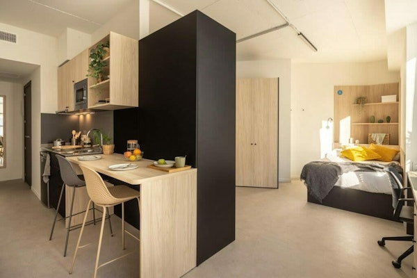 Double use studio with its own bathroom, kitchen and two study areas