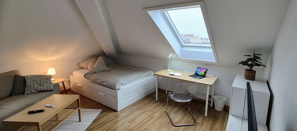 Starting from 01.10.23: Stylish, well-cut 1-room attic flat in the heart of Halle (Saale) with magnificient view over the city roofs