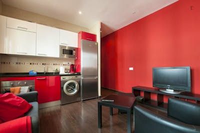 Cool 3-bedroom apartment in central Lavapiés  - Gallery -  2