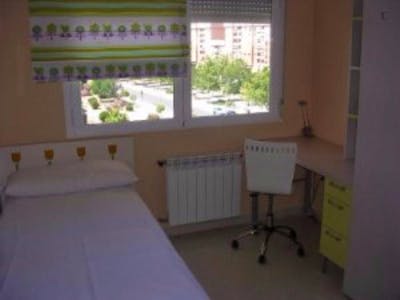 Single Room in a 3 bedroom apartment  - Gallery -  1