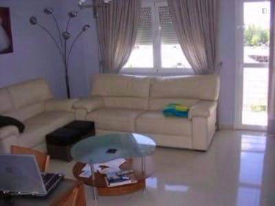 Single Room in a 3 bedroom apartment  - Gallery -  2
