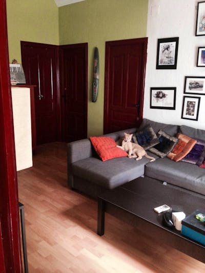 Homely single bedroom near Universidad de Sevilla  - Gallery -  2
