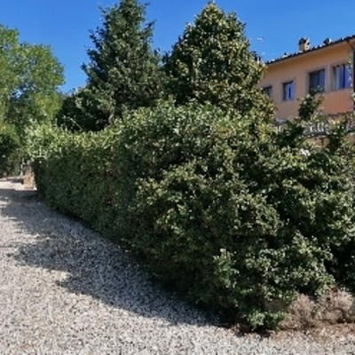 Cosy Single Bedroom not too far from the centre of Florence