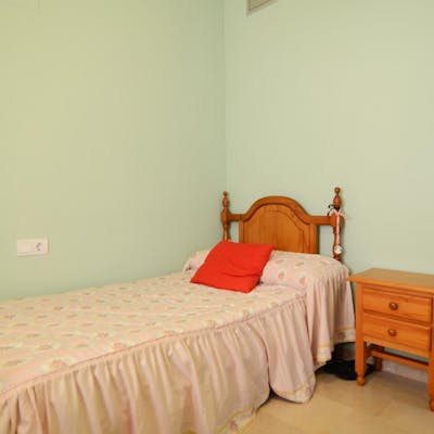 Cool single bedroom right next to Universidad de Málaga  - Gallery -  1