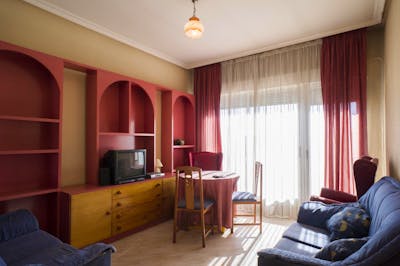 Typical and cosy 3-bedroom apartment near Parque de las Salesas  - Gallery -  1