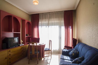 Typical and cosy 3-bedroom apartment near Parque de las Salesas  - Gallery -  2