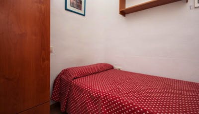 Warm single bedroom in a student flat near the Granada Cathedral  - Gallery -  2