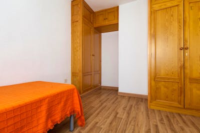Lovely single bedroom within walking distance to Facultad de Derecho  - Gallery -  3