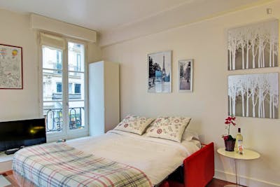 Fresh and welcoming studio close to Châtelet metro station  - Gallery -  1
