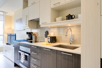 Wonderful 1-bedroom apartment in Toronto near Osgoode subway station  - Gallery -  2
