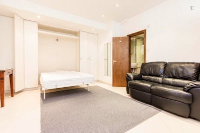 Lovely studio apartment in Gloucester road  - Gallery -  2