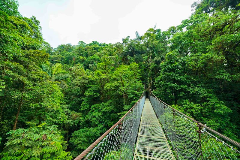 Selina Monteverde