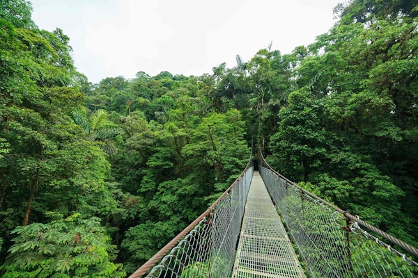 Selina Monteverde