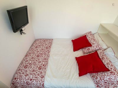 Stylish 1-bedroom flat in Morivione  - Gallery -  2