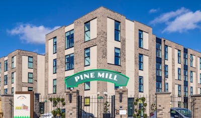 Pine Mill  - Gallery -  1