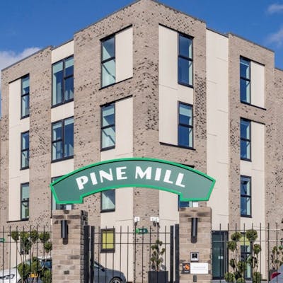 Pine Mill