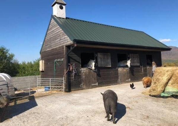 Letterfrack Farmhouse on equestrian farm in Letterfrack