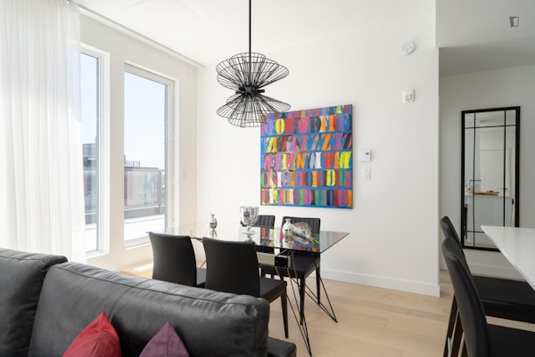 Luxury Griffintown 2 bedroom/bath condo for rent fully furnished
