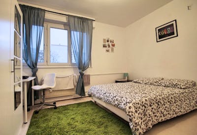 Pleasant double bedroom in student-popular Esplanade