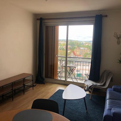 Alluring 2-bedroom apartment near Bourg-la-Reine train station