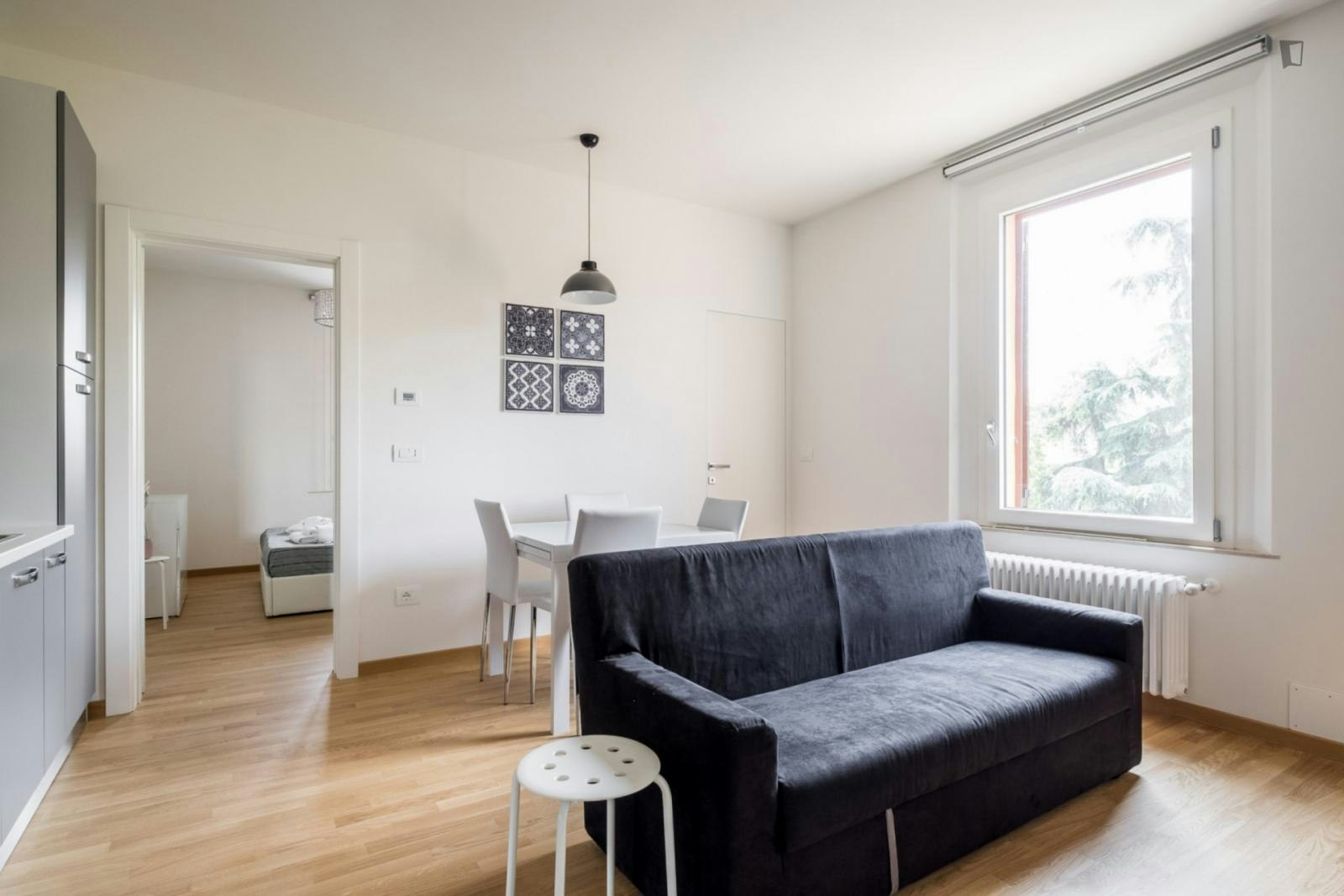 Pleasant one-bedroom apartment super close to the university