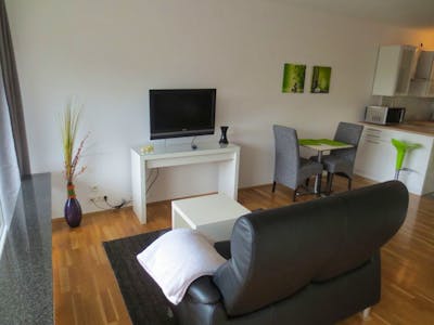Modern business apartment, centrally and conveniently located