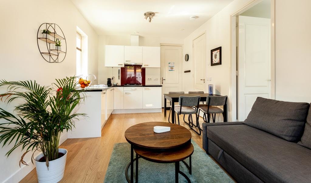 Elegant one-bedroom apartment near the central station