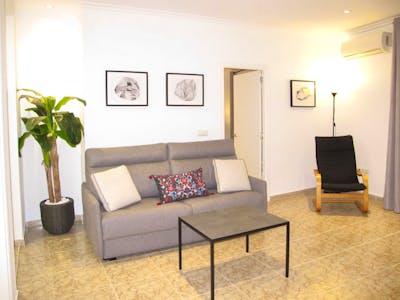 Central 2 bedroom apartment - Lucentum