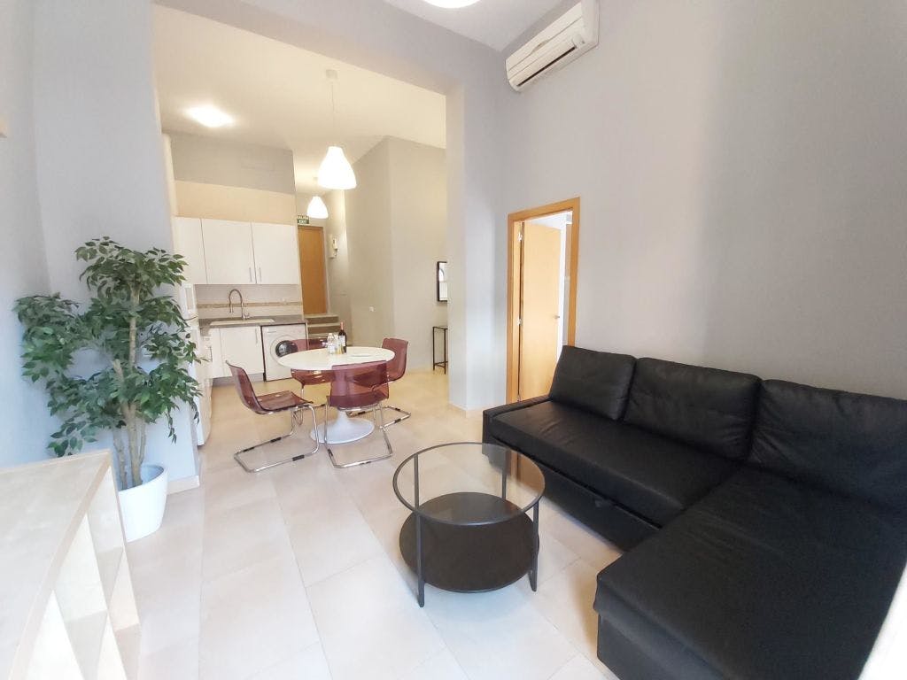 Luxurious apartment in the center of Malaga