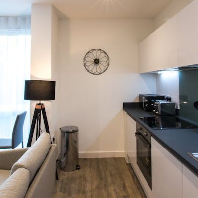 Modern One Bedroom Apartment in Exclusive Reading New Build