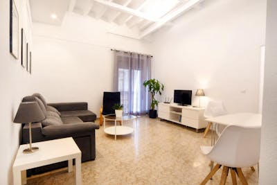 Central 3 bedroom apartment - Canalejas