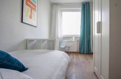 Great single bedroom in nice area  - Gallery -  2