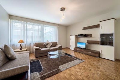 clear and simple decoration, this furnished apartment has a privileged location