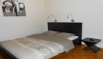 Bright and furnished studio is ideally located in the center of Geneva
